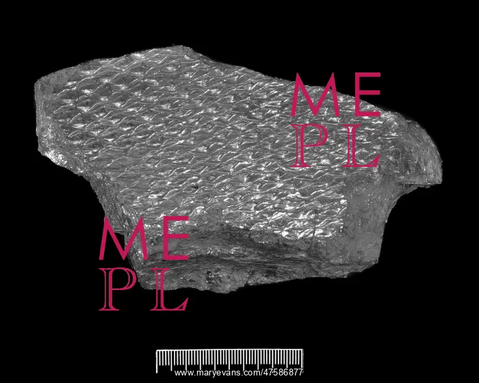: Coal, from the late carboniferous : Coal, from the late carboniferous