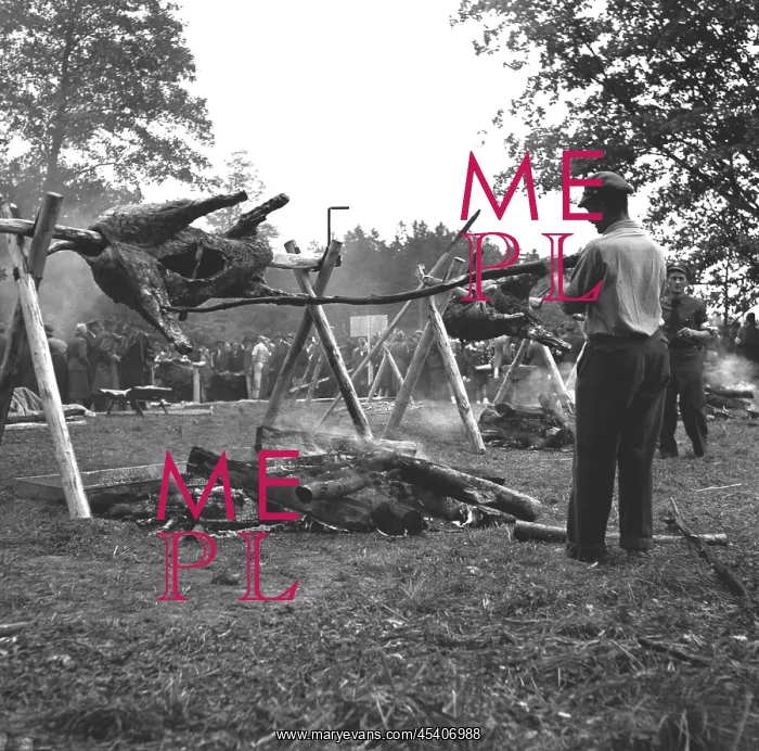 : Coal miners roast oxen : Coal miners roast oxen