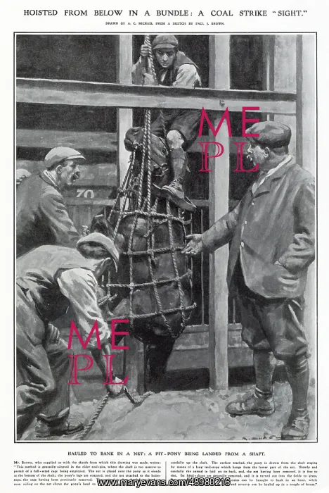 : Coal Strike - Pony-pit being hoisted 1912 : Coal Strike - Pony-pit being hoisted 1912