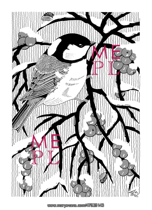 : Coal Tit and Berries : Coal Tit and Berries