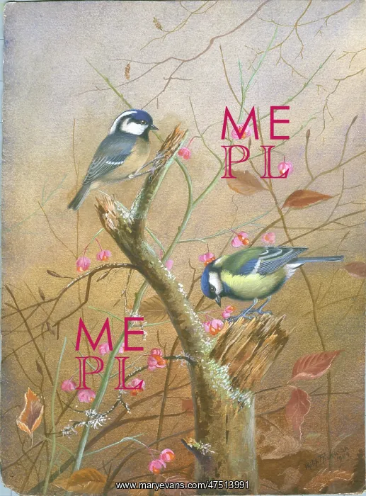 : Coal tit and great tit on a branch : Coal tit and great tit on a branch