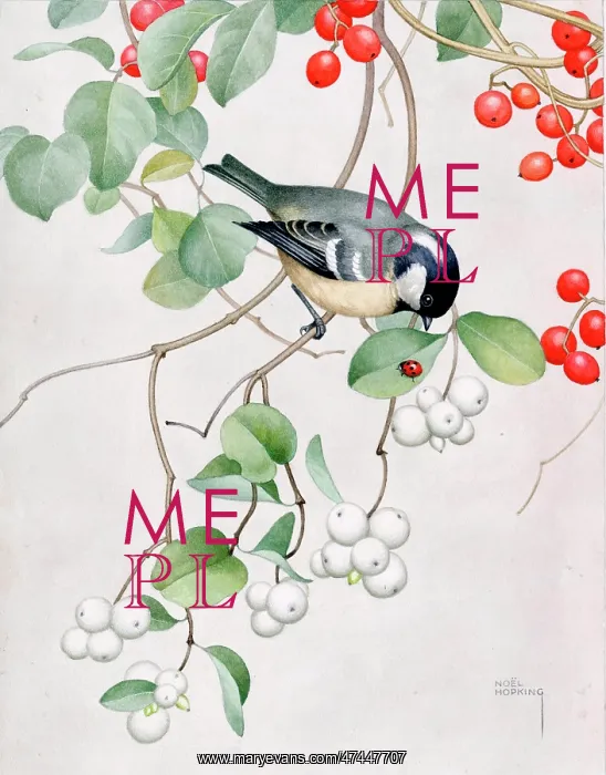  : Coal Tit with Ladybird on Red and White Currants