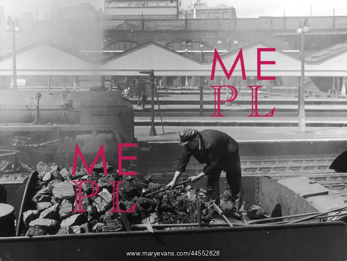 : COALING A TRAIN : COALING A TRAIN