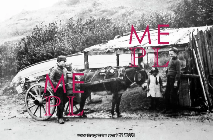 : Coalman (boy) at Runswick Bay : Coalman (boy) at Runswick Bay
