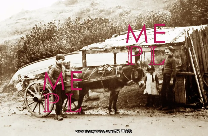 : Coalman (boy) at Runswick Bay : Coalman (boy) at Runswick Bay