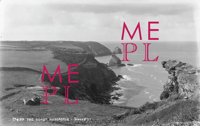 : The Coast at Boscastle : The Coast at Boscastle