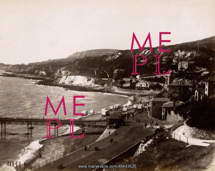 : Coast at Ventnor, Isle of Wight