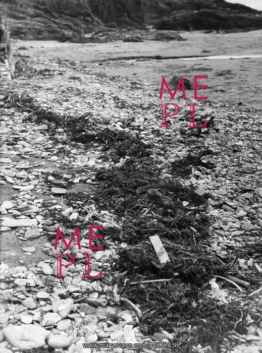 : COASTAL JETSAM : COASTAL JETSAM