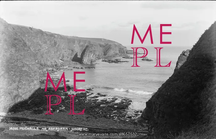 : Coastal View at Muchalls : Coastal View at Muchalls