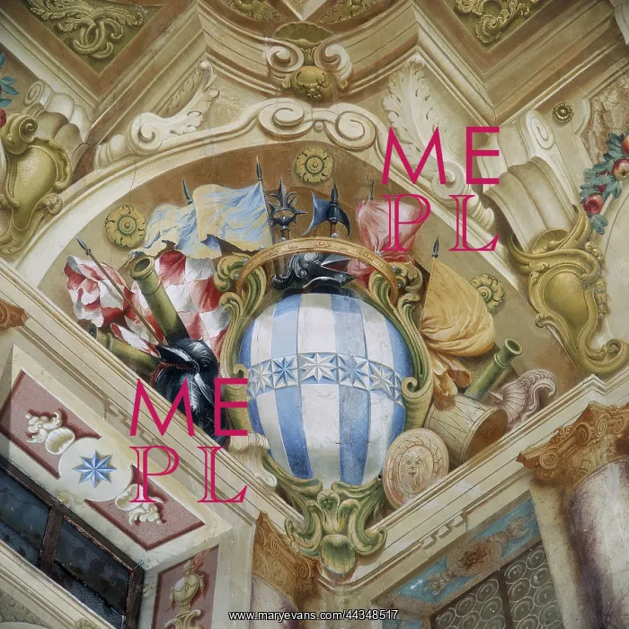 : A coat of arms, detail : A coat of arms, detail