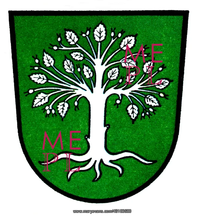 : Coat of arms, Bocholt : Coat of arms, Bocholt
