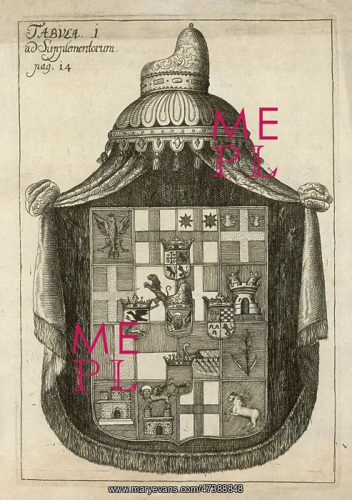 : COAT OF ARMS C.18TH : COAT OF ARMS C.18TH
