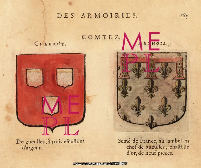 : Coat of arms of the Counts of Chaerny, Arthois : Coat of arms of the Counts of Chaerny, Arthois