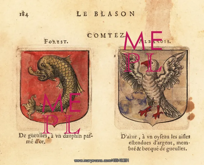 : Coat of arms of the Counts of Forets and Albanois : Coat of arms of the Counts of Forets and Albanois