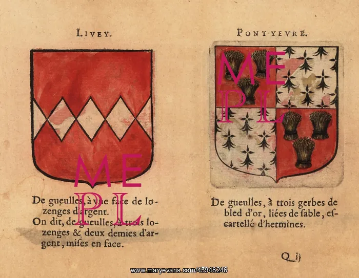 : Coat of arms of the Counts of Livey and Pont-Yevre : Coat of arms of the Counts of Livey and Pont-Yevre