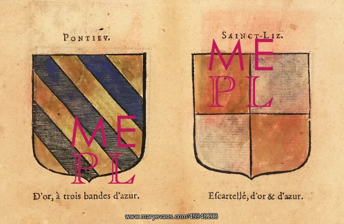 : Coat of arms of the Counts of Ponthieu and St. Liz : Coat of arms of the Counts of Ponthieu and St. Liz