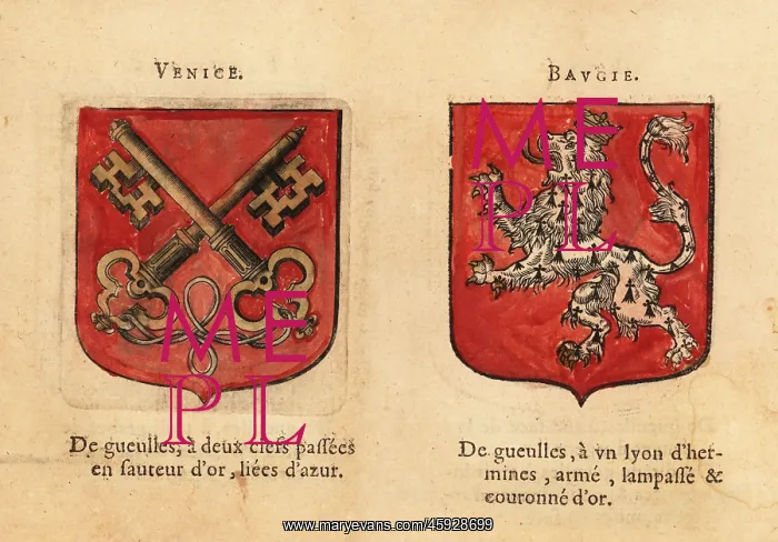: Coat of arms of the Counts of Venice and Bauge : Coat of arms of the Counts of Venice and Bauge