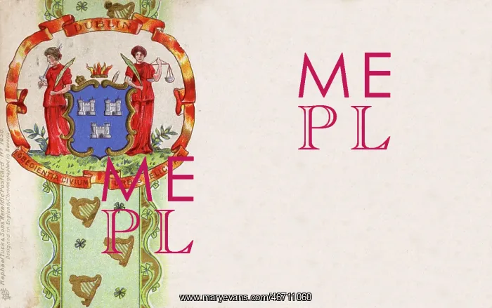  : The Coat of Arms of Dublin, Ireland