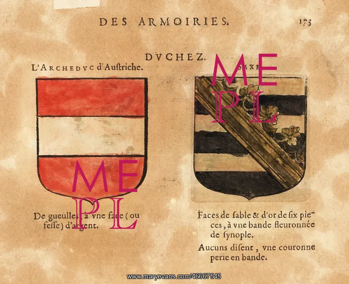 : Coat of arms of the Duchies of Austria and Saxe : Coat of arms of the Duchies of Austria and Saxe