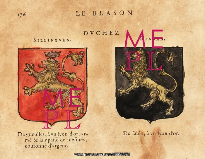 : Coat of arms of the Duchies of Sillinguen and : Coat of arms of the Duchies of Sillinguen and