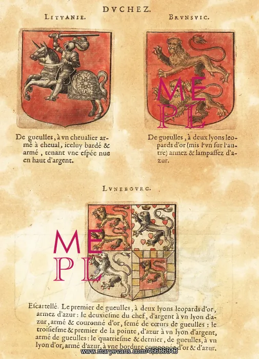 : Coat of arms of the Duchy of Lithuania, Brunswick : Coat of arms of the Duchy of Lithuania, Brunswick