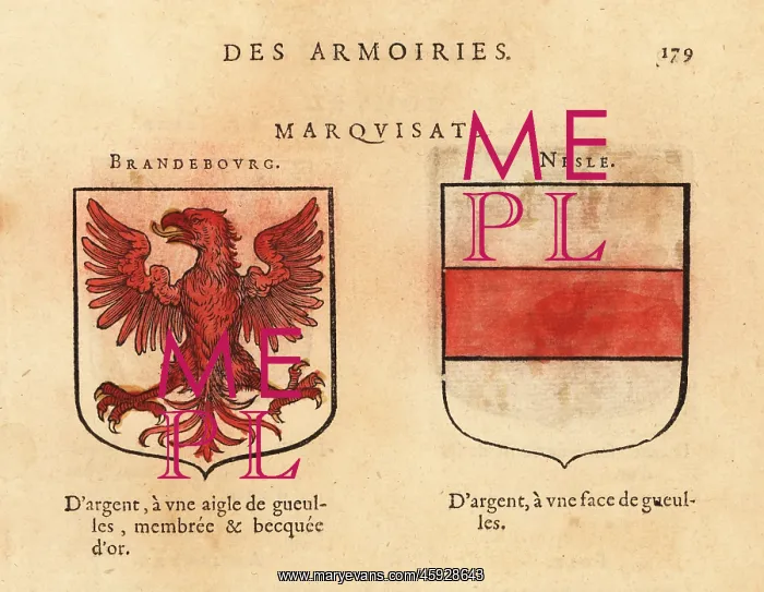 : Coat of arms of the Margraviates of Brandenburg and Nesle : Coat of arms of the Margraviates of Brandenburg and Nesle