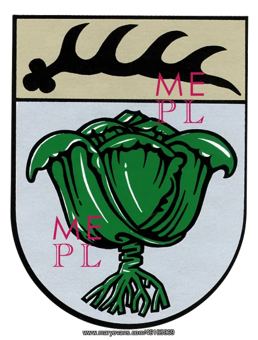 : Coat of arms, Metzingen : Coat of arms, Metzingen