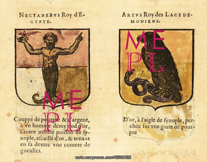 : Coat of arms of Nectanebo I, Egyptian pharaoh : Coat of arms of Nectanebo I, Egyptian pharaoh