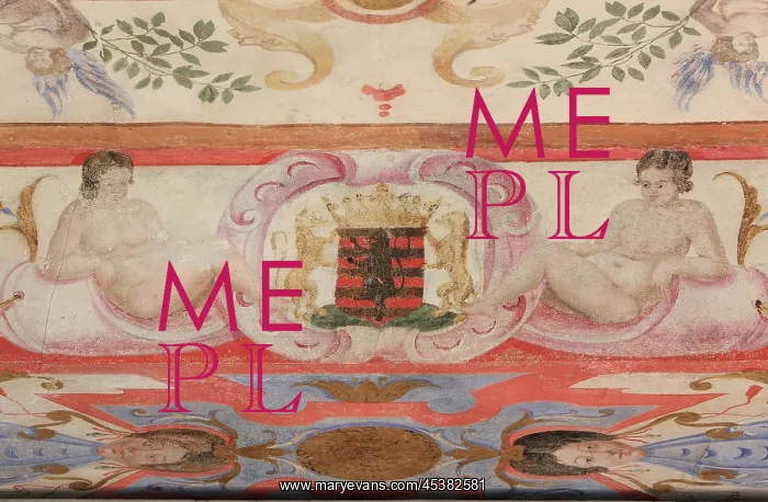 : Detail of coat of arms from a painted ceiling : Detail of coat of arms from a painted ceiling