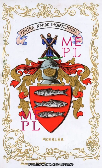 : The Coat of Arms of Peebles : The Coat of Arms of Peebles