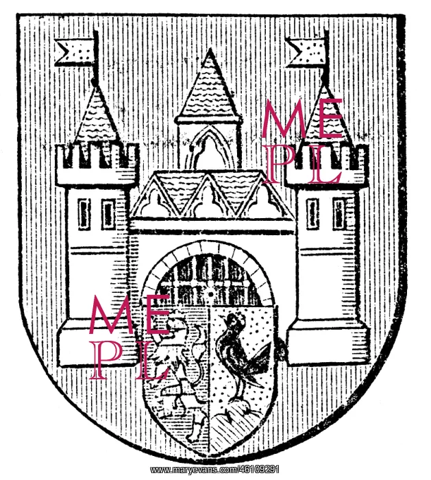: Coat of arms, Schmalkalden : Coat of arms, Schmalkalden