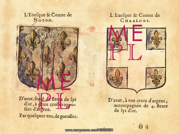 : Coats of arms of the Bishop-Counts of Noyon and of Chalons : Coats of arms of the Bishop-Counts of Noyon and of Chalons