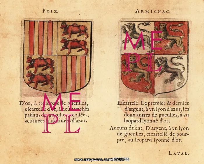 : Coats of arms of the Counts of Foix and Armagnac : Coats of arms of the Counts of Foix and Armagnac