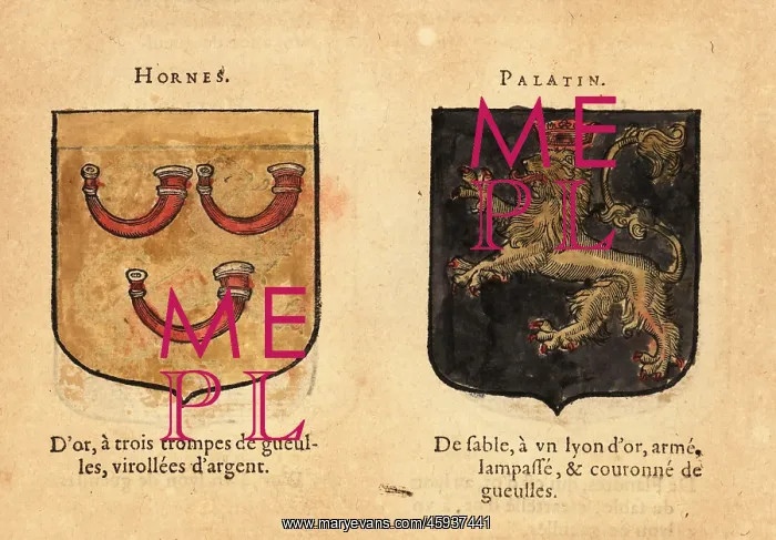 : Coats of arms of the Counts of Horne and the Palatine : Coats of arms of the Counts of Horne and the Palatine