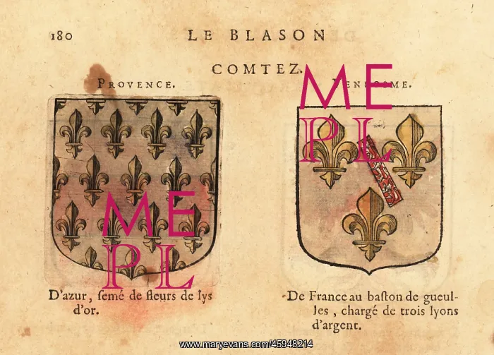 : Coats of arms of the Counts of Provence and Vendome : Coats of arms of the Counts of Provence and Vendome
