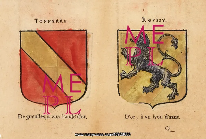 : Coats of arms of the Counts of Tonnerre and Roussy : Coats of arms of the Counts of Tonnerre and Roussy