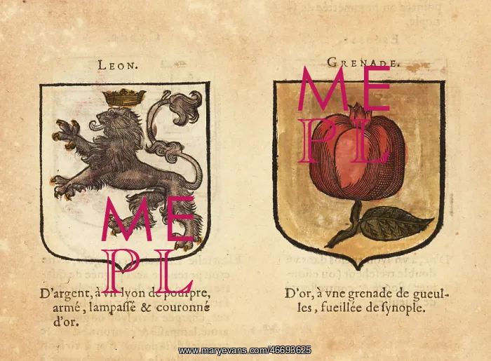 : Coats of arms of the Kingdoms of Lyons and Granada : Coats of arms of the Kingdoms of Lyons and Granada