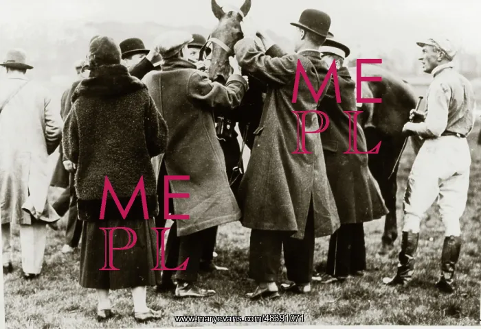  : Coats, Horses, Racing day, England