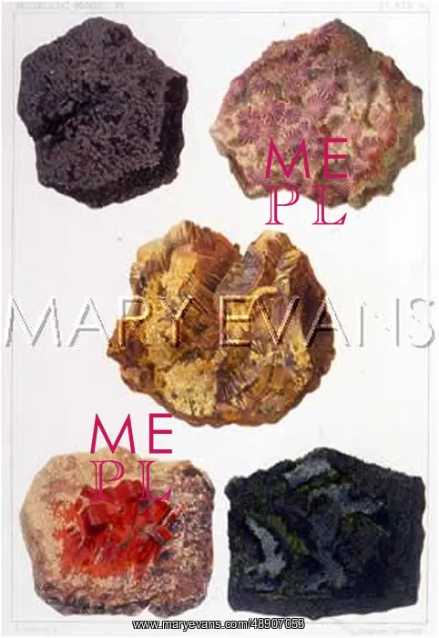 : COBALT & NICKEL ETC : COBALT & NICKEL ETC