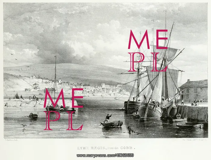 : The Cobb, Lyme Regis : The Cobb, Lyme Regis