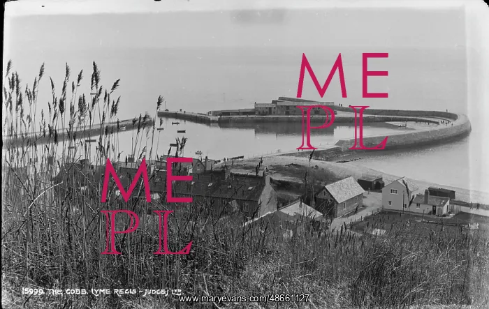 : The Cobb, Lyme Regis : The Cobb, Lyme Regis