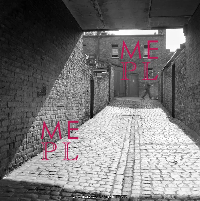 : Cobbled Street : Cobbled Street