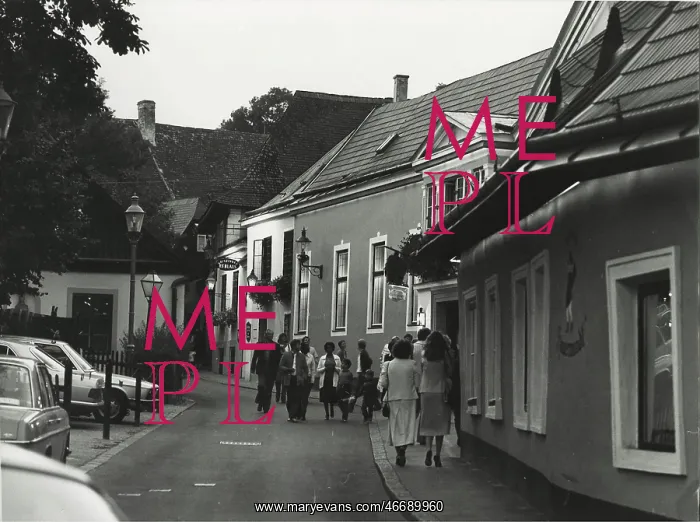 : Cobenzlgasse in Grinzing. On the right: typical austrian : Cobenzlgasse in Grinzing. On the right: typical austrian