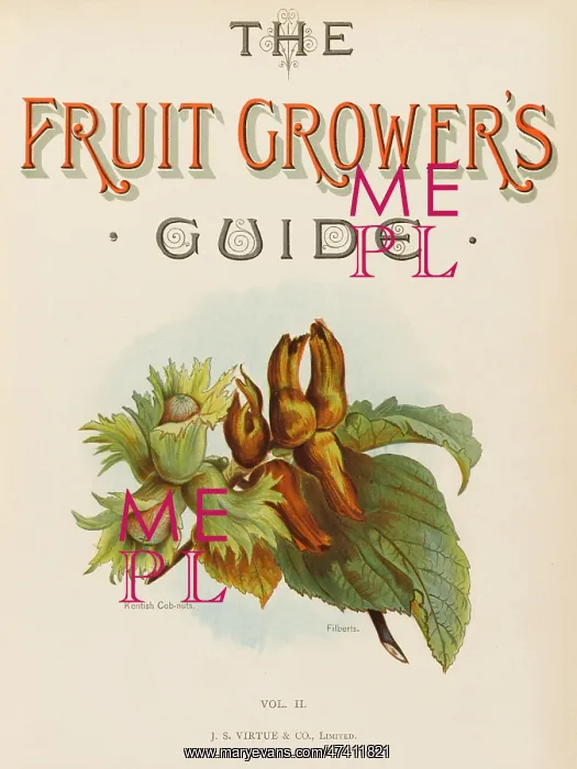  : COBNUTS, FILBERTS