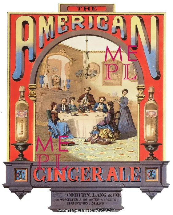 : Coburn, Lang & Company ginger ale : Coburn, Lang & Company ginger ale