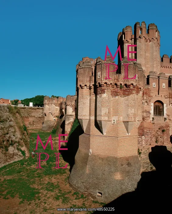 : Coca castle. Castile and Leon. Spain : Coca castle. Castile and Leon. Spain