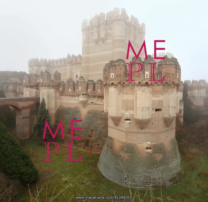: Coca Castle, Segovia, Castile and Leon, Spain : Coca Castle, Segovia, Castile and Leon, Spain