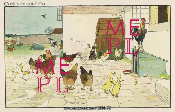  : Cock-A-Doodle-Doo