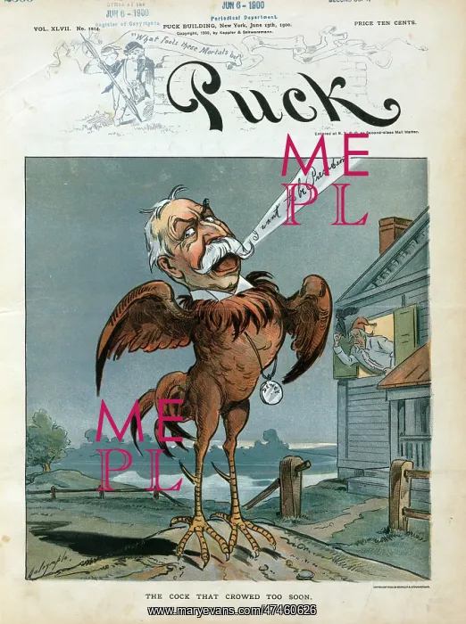 : The cock that crowed too soon : The cock that crowed too soon