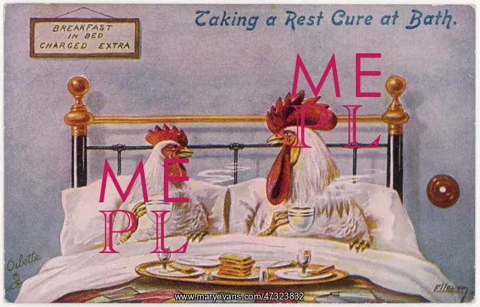  : COCK, HEN IN BED